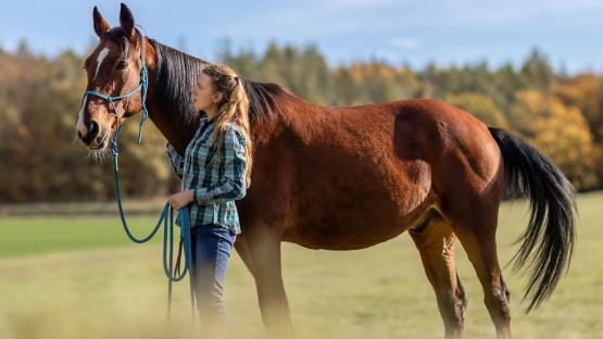  For those wanting to work in the horse industry, Ohio University&amp;amp;#039;s AAS in Equine Studies is a fast track way to the equine industry. 